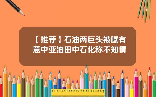 【推荐】石油两巨头被曝有意中亚油田中石化称不知情