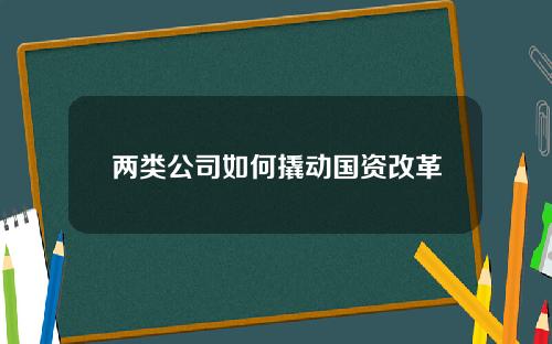 两类公司如何撬动国资改革