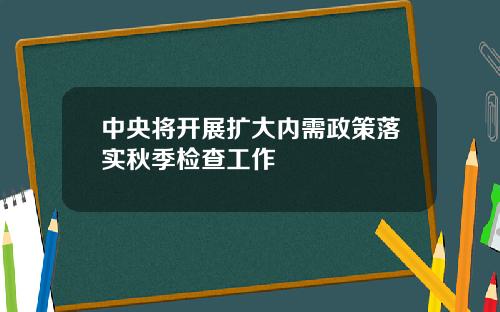 中央将开展扩大内需政策落实秋季检查工作