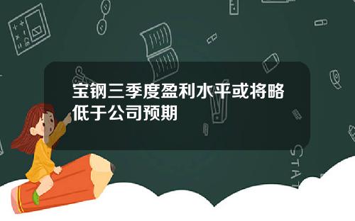 宝钢三季度盈利水平或将略低于公司预期