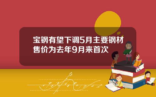 宝钢有望下调5月主要钢材售价为去年9月来首次