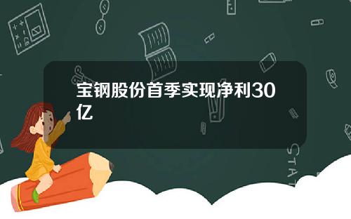 宝钢股份首季实现净利30亿