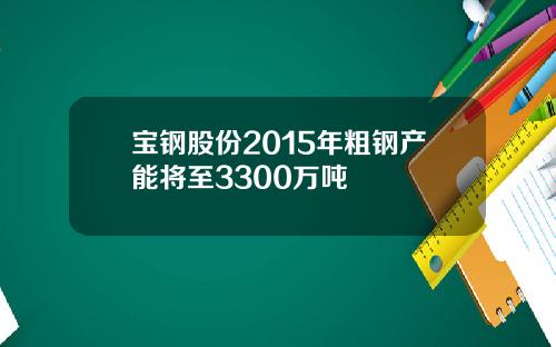 宝钢股份2015年粗钢产能将至3300万吨