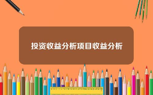 投资收益分析项目收益分析