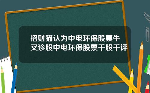 招财猫认为中电环保股票牛叉诊股中电环保股票千股千评