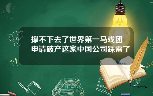 撑不下去了世界第一马戏团申请破产这家中国公司踩雷了