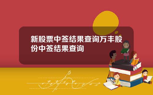 新股票中签结果查询万丰股份中签结果查询