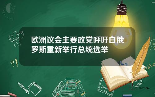 欧洲议会主要政党呼吁白俄罗斯重新举行总统选举