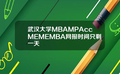 武汉大学MBAMPAccMEMEMBA网报时间只剩一天