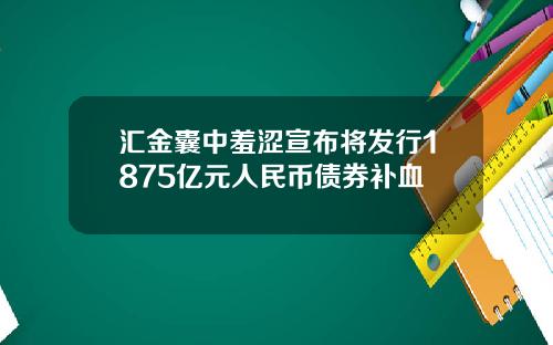 汇金囊中羞涩宣布将发行1875亿元人民币债券补血