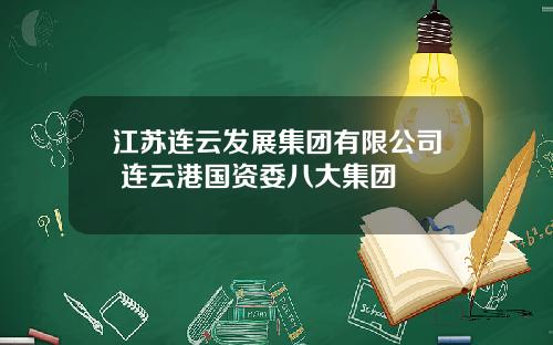 江苏连云发展集团有限公司 连云港国资委八大集团