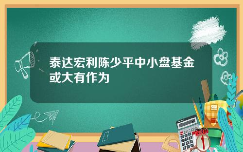 泰达宏利陈少平中小盘基金或大有作为