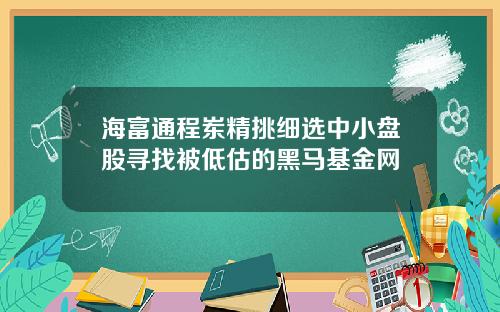 海富通程岽精挑细选中小盘股寻找被低估的黑马基金网