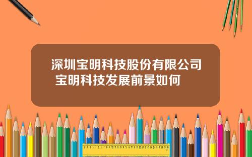 深圳宝明科技股份有限公司 宝明科技发展前景如何