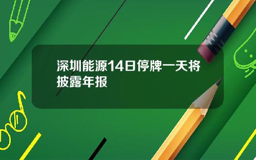 深圳能源14日停牌一天将披露年报