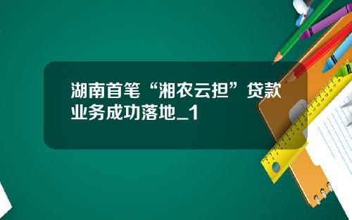 湖南首笔“湘农云担”贷款业务成功落地_1