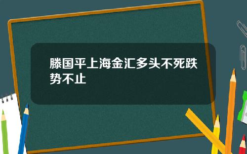 滕国平上海金汇多头不死跌势不止