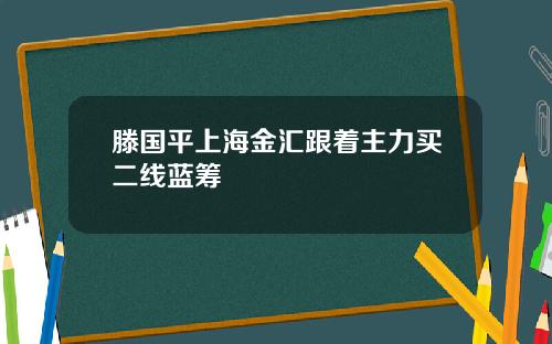 滕国平上海金汇跟着主力买二线蓝筹