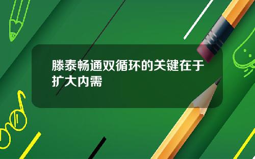 滕泰畅通双循环的关键在于扩大内需