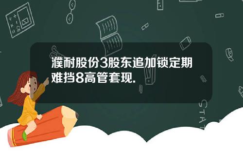 濮耐股份3股东追加锁定期难挡8高管套现.