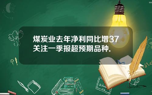 煤炭业去年净利同比增37关注一季报超预期品种.