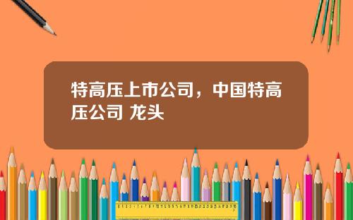 特高压上市公司，中国特高压公司 龙头