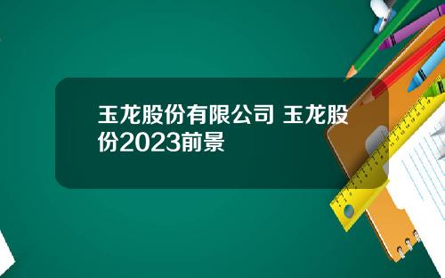 玉龙股份有限公司 玉龙股份2023前景