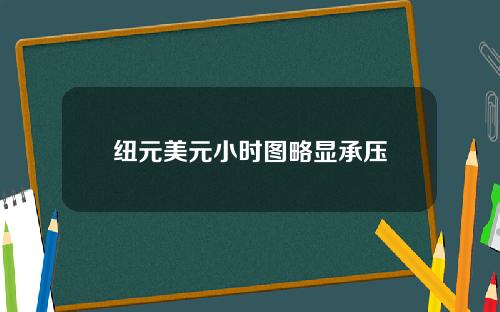 纽元美元小时图略显承压