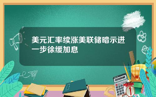 美元汇率续涨美联储暗示进一步徐缓加息