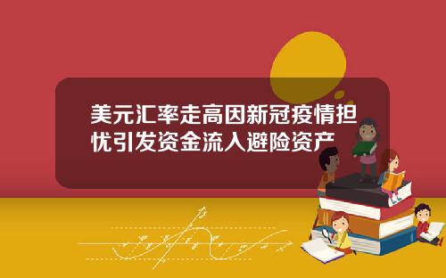 美元汇率走高因新冠疫情担忧引发资金流入避险资产