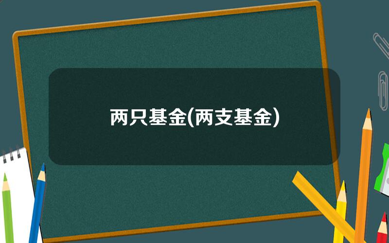 两只基金(两支基金)