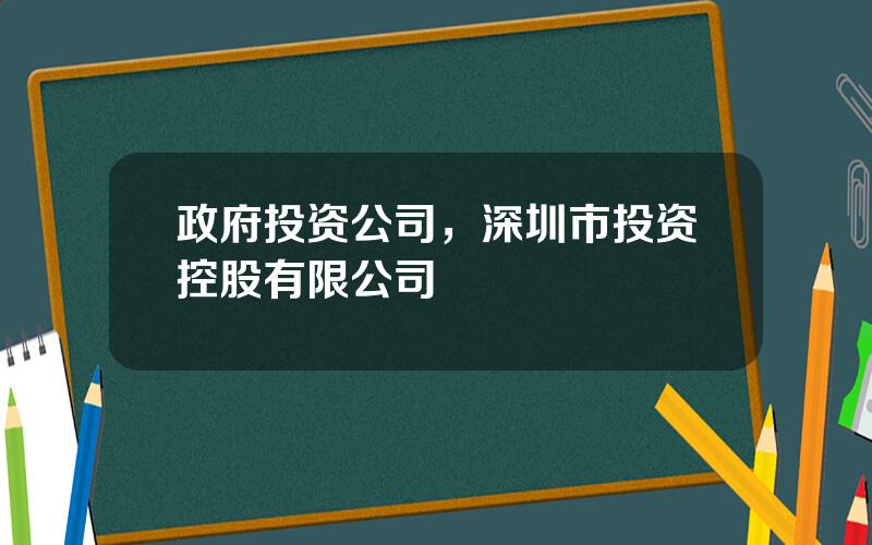 政府投资公司，深圳市投资控股有限公司