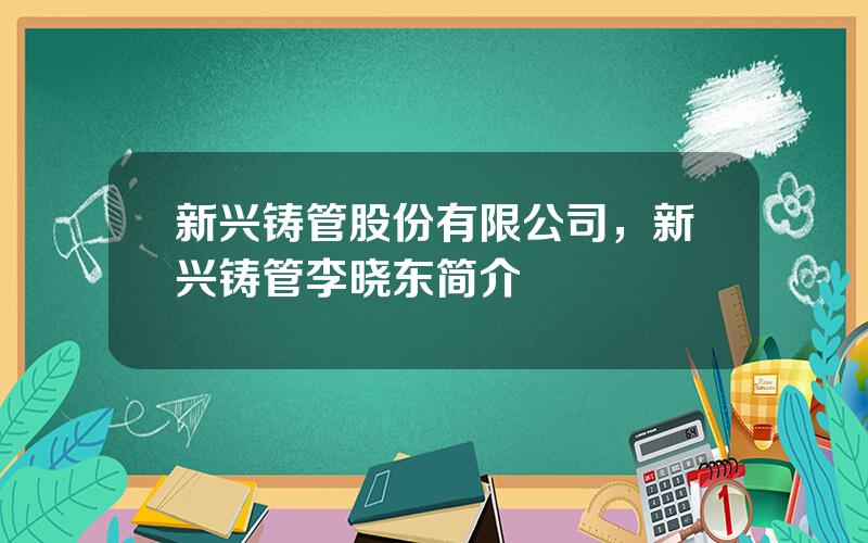 新兴铸管股份有限公司，新兴铸管李晓东简介