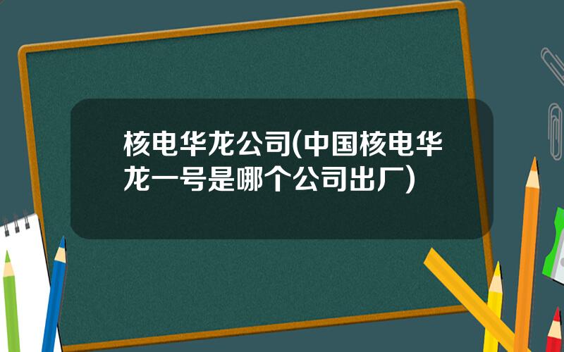 核电华龙公司(中国核电华龙一号是哪个公司出厂)