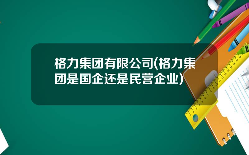 格力集团有限公司(格力集团是国企还是民营企业)