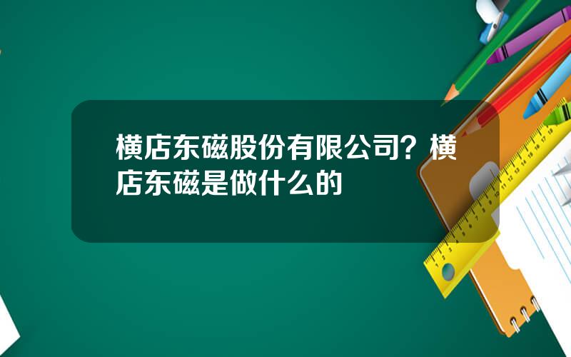 横店东磁股份有限公司？横店东磁是做什么的