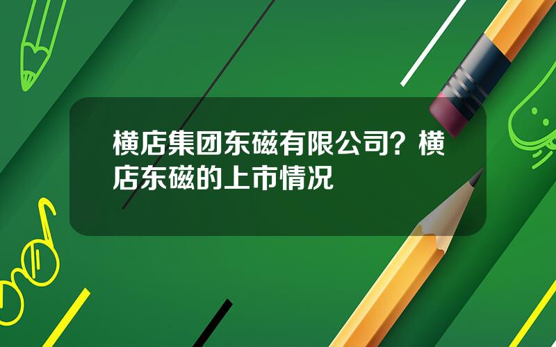 横店集团东磁有限公司？横店东磁的上市情况