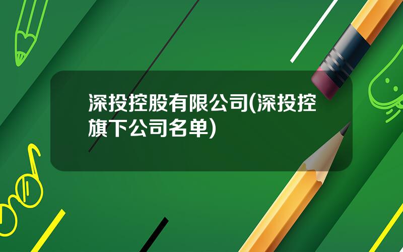 深投控股有限公司(深投控旗下公司名单)