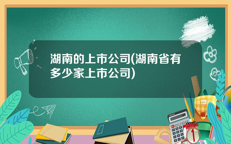 湖南的上市公司(湖南省有多少家上市公司)