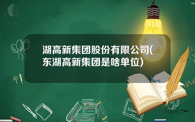 湖高新集团股份有限公司(东湖高新集团是啥单位)