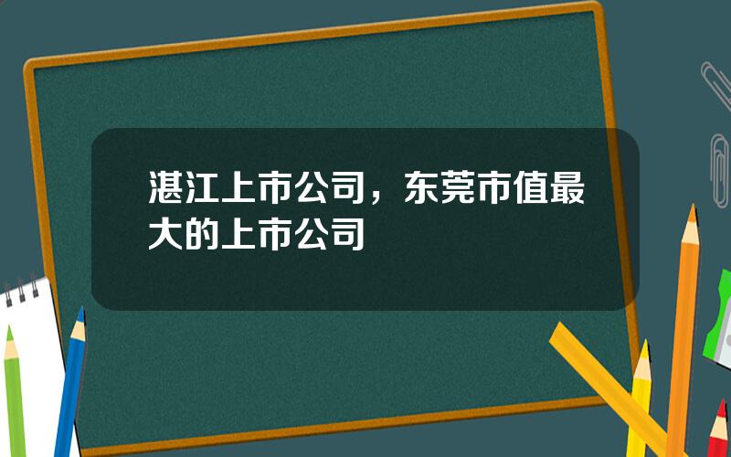 湛江上市公司，东莞市值最大的上市公司