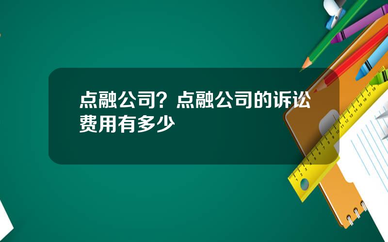 点融公司？点融公司的诉讼费用有多少