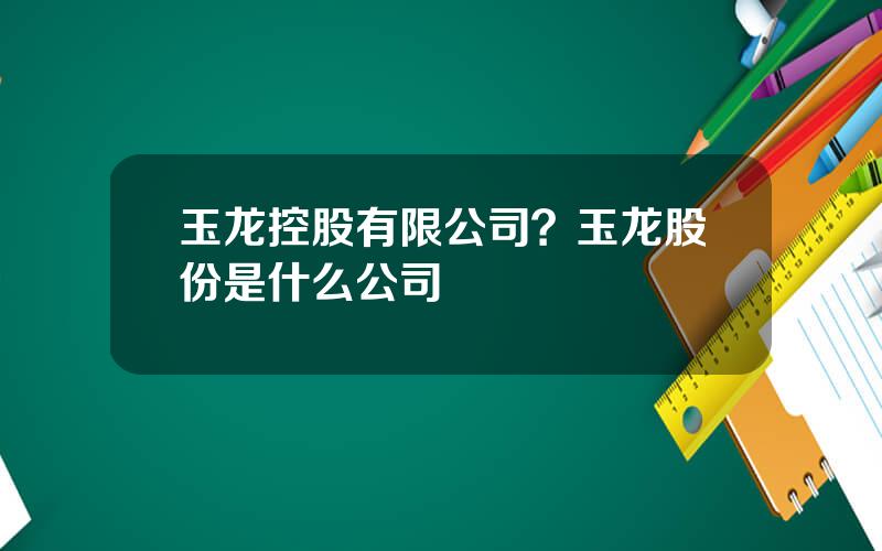 玉龙控股有限公司？玉龙股份是什么公司