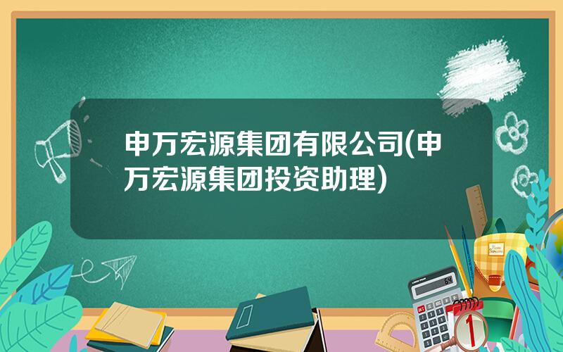 申万宏源集团有限公司(申万宏源集团投资助理)