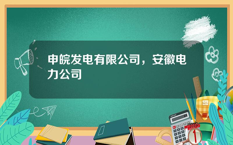 申皖发电有限公司，安徽电力公司