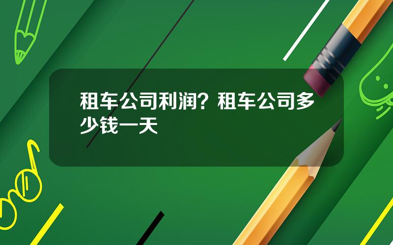 租车公司利润？租车公司多少钱一天