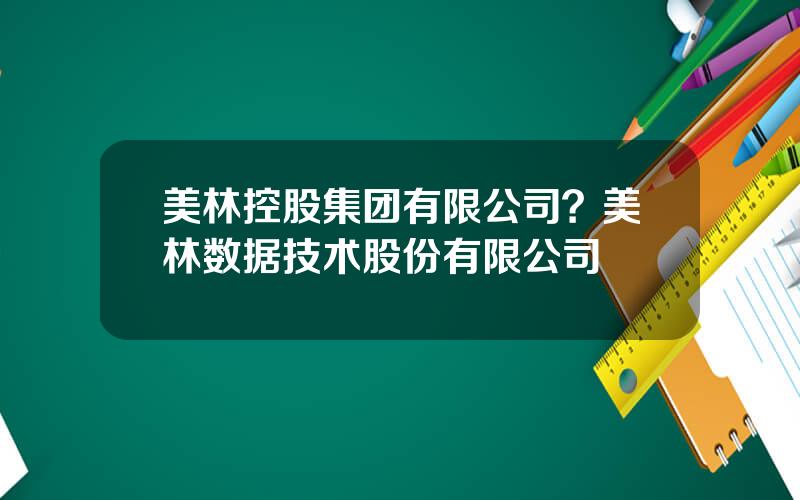 美林控股集团有限公司？美林数据技术股份有限公司